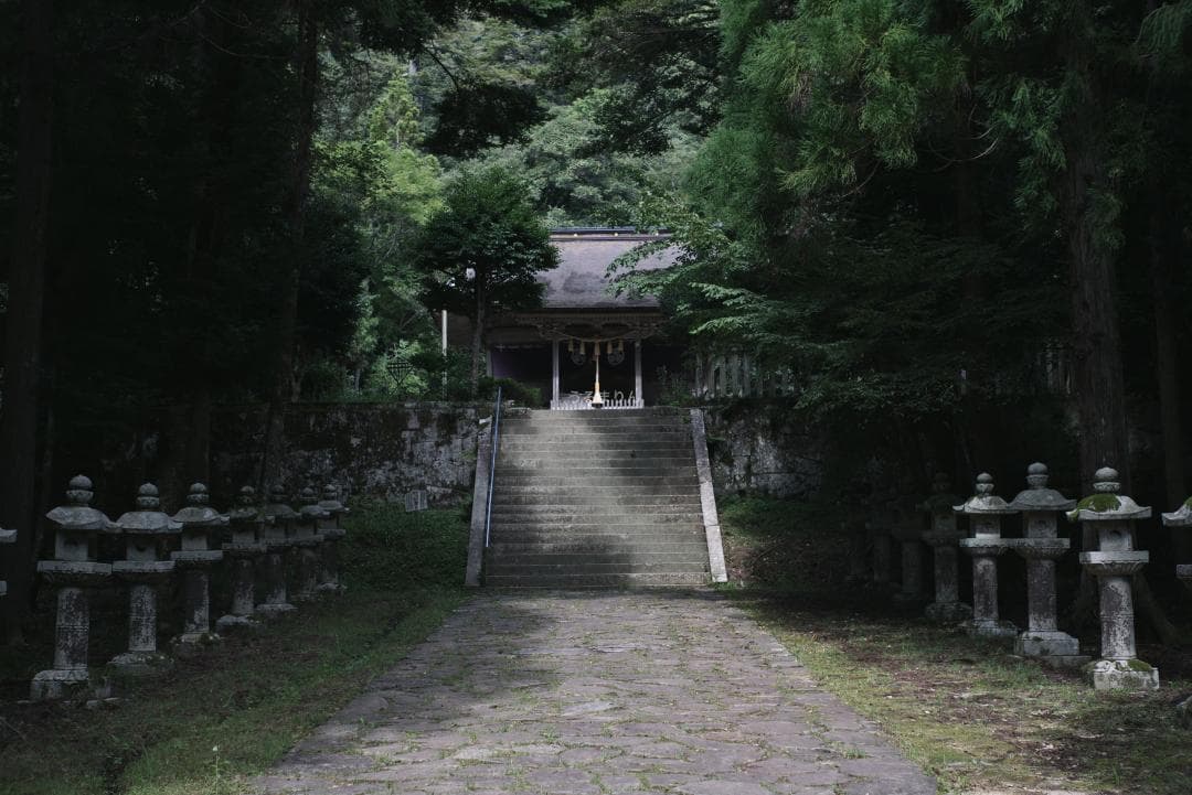 美品！赤エルマー！Red Scale Elmar 50mm オールドレンズ