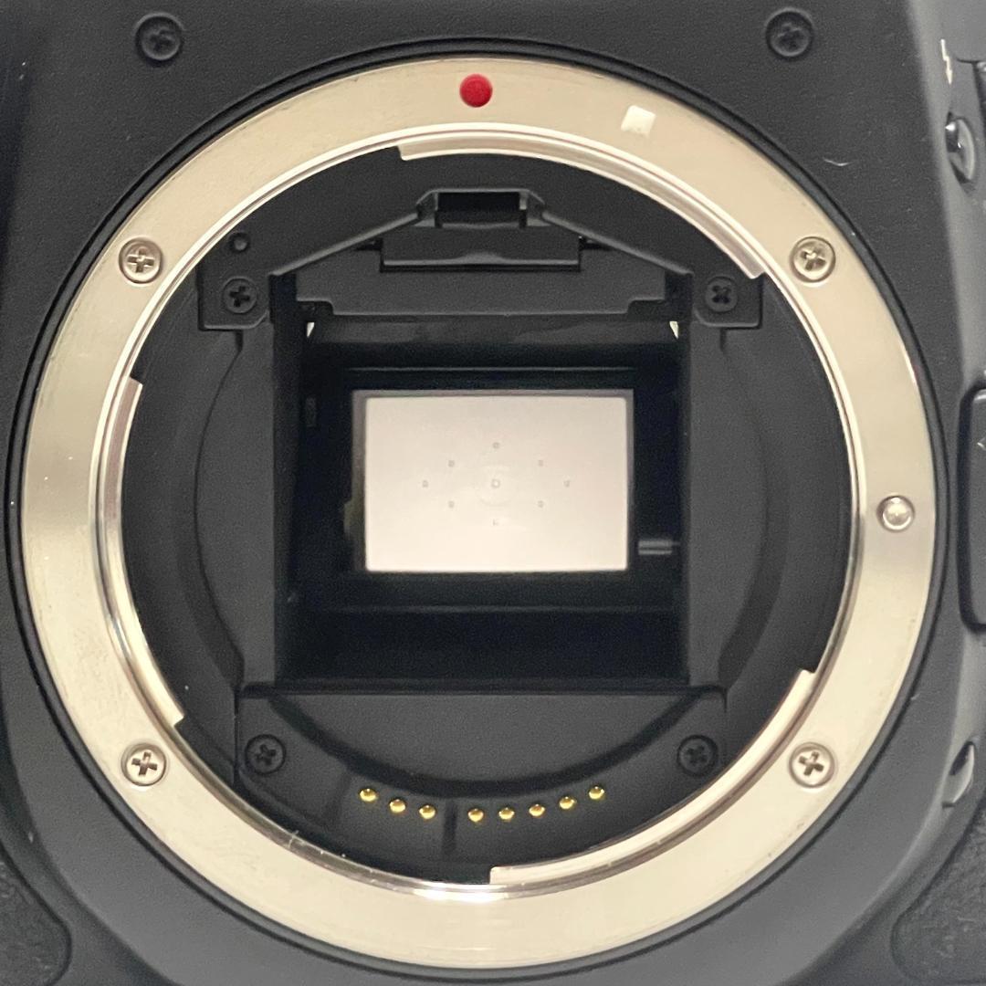 USMレンズ⭐️　Canon EOS 50D 35-135mm レンズセット