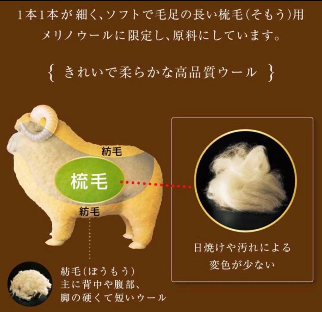 新 The PREMIUM Sofwool ザ・プレミアム ソフゥール 掛け毛布