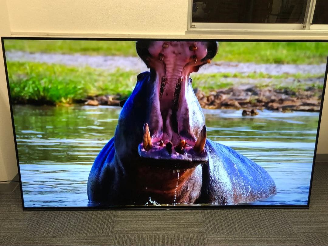 【超美品】SONY BRAVIA 77型4K 有機ELテレビ　2018年製