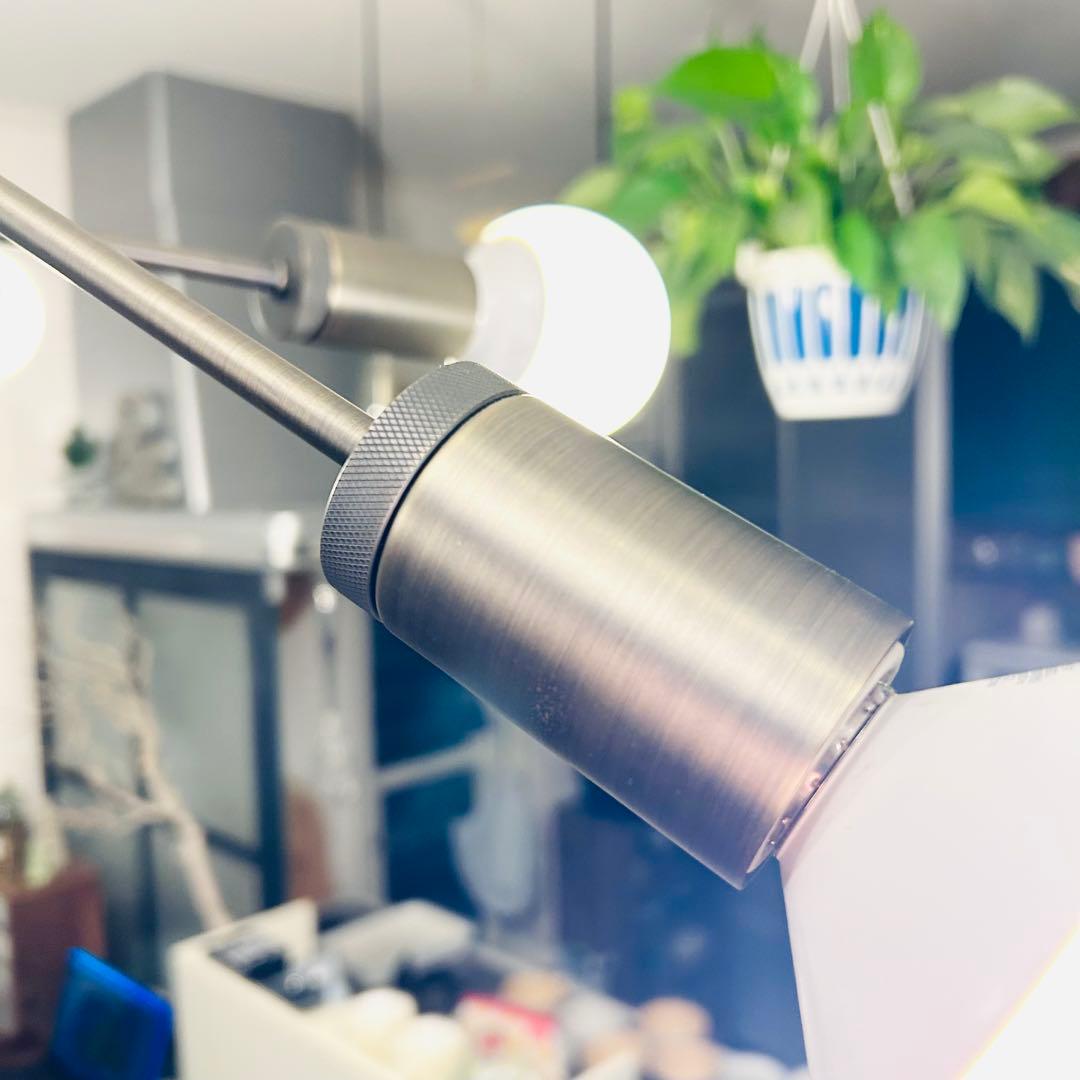 DI CLASSE Cardinal 6灯 ペンダントライト