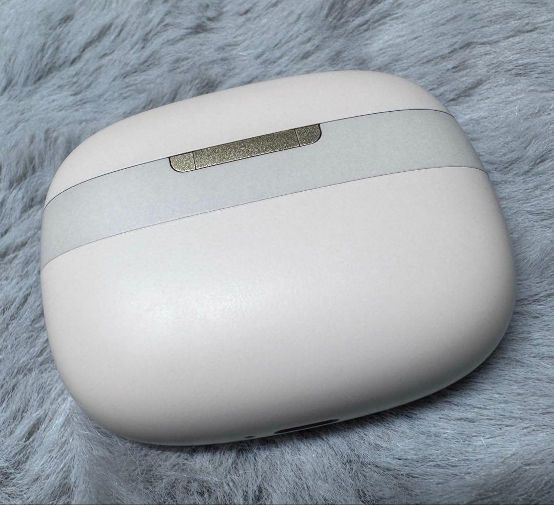 【美品】Bowers & Wilkins Pi8 DW／radius イヤピ付き