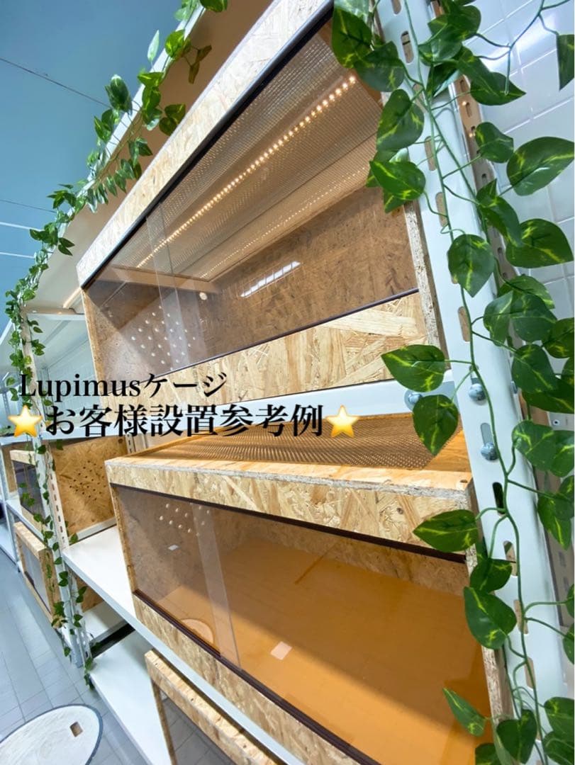 爬虫類ケージ　爬虫類飼育ゲージ　90×45×45サイズ　天井金網仕様