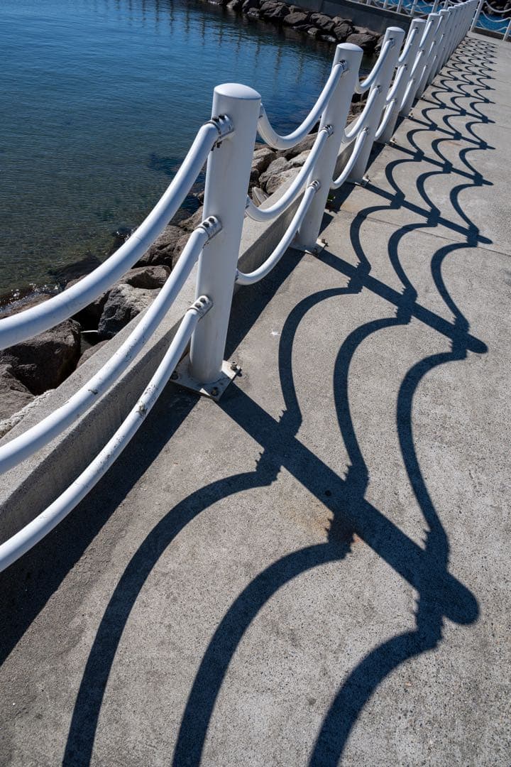 Nikon Z8 ミラーレスカメラ 本体