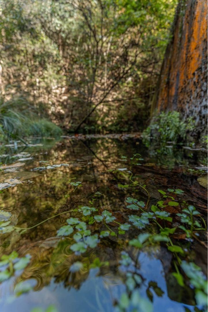 EOS R ボディ/動作良好/防湿庫保管/フルサイズミラーレス　初めての方に！