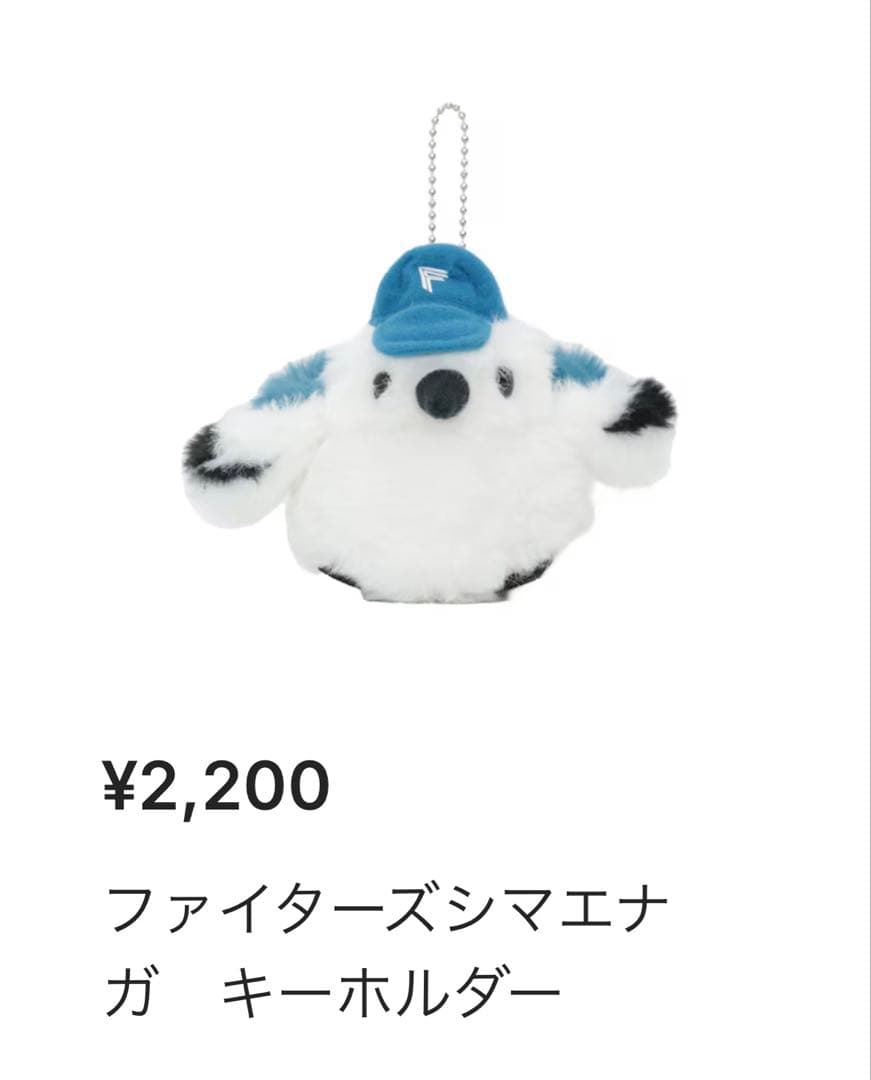 【1回のみ使用】ファイターズ 応援セット！【1月中限り定価15%off】