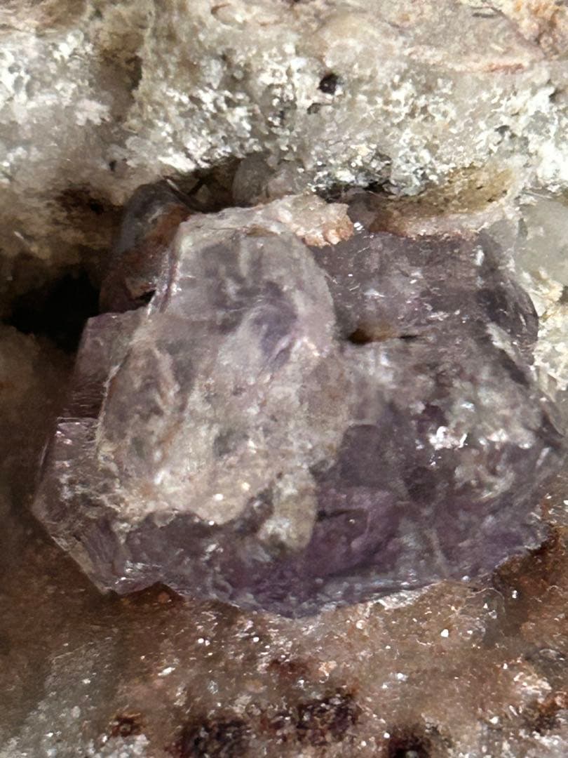 ピンクアメジスト × アメジスト 共生原石 ― 成長の時間を宿す一点 ―