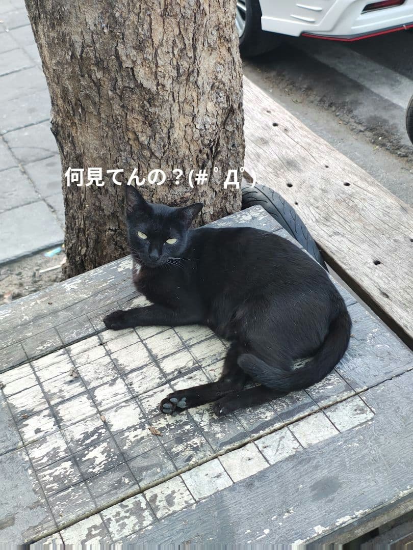 【高級品！】タイのお守りプラクルアン！九尾の狐！金運&恋愛&仕事運がアップ！