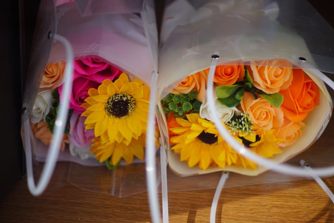 55mm F1.4 単焦点レンズ FUJIFILMミラーレス 写真がうまくなる