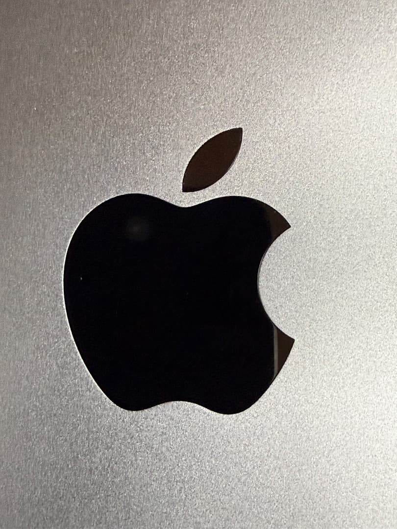 Apple iPad Pro 12..9 第3世代 1 TB