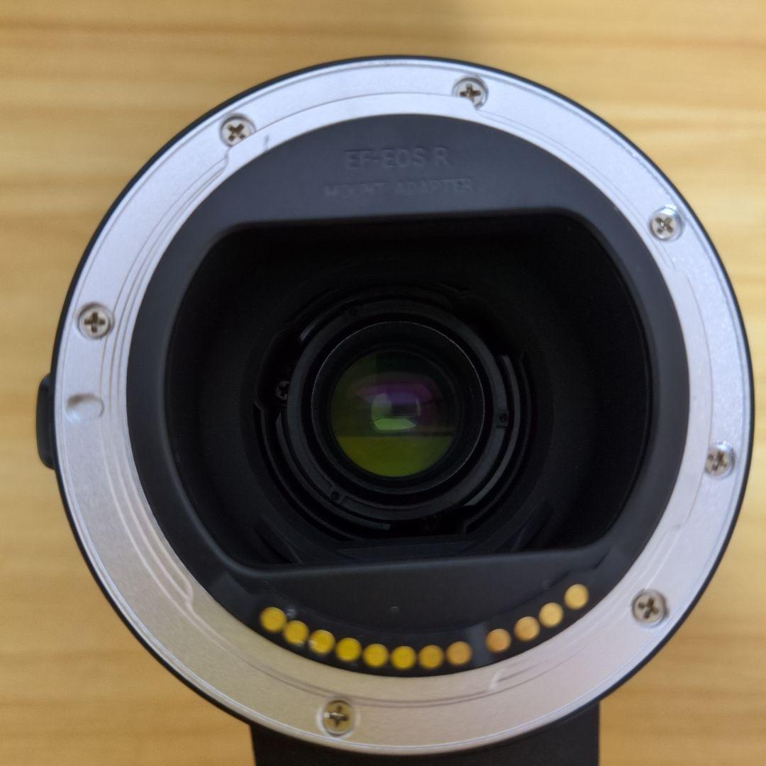 TAMRON 28-300mm Canon RF用 標準+望遠レンズ