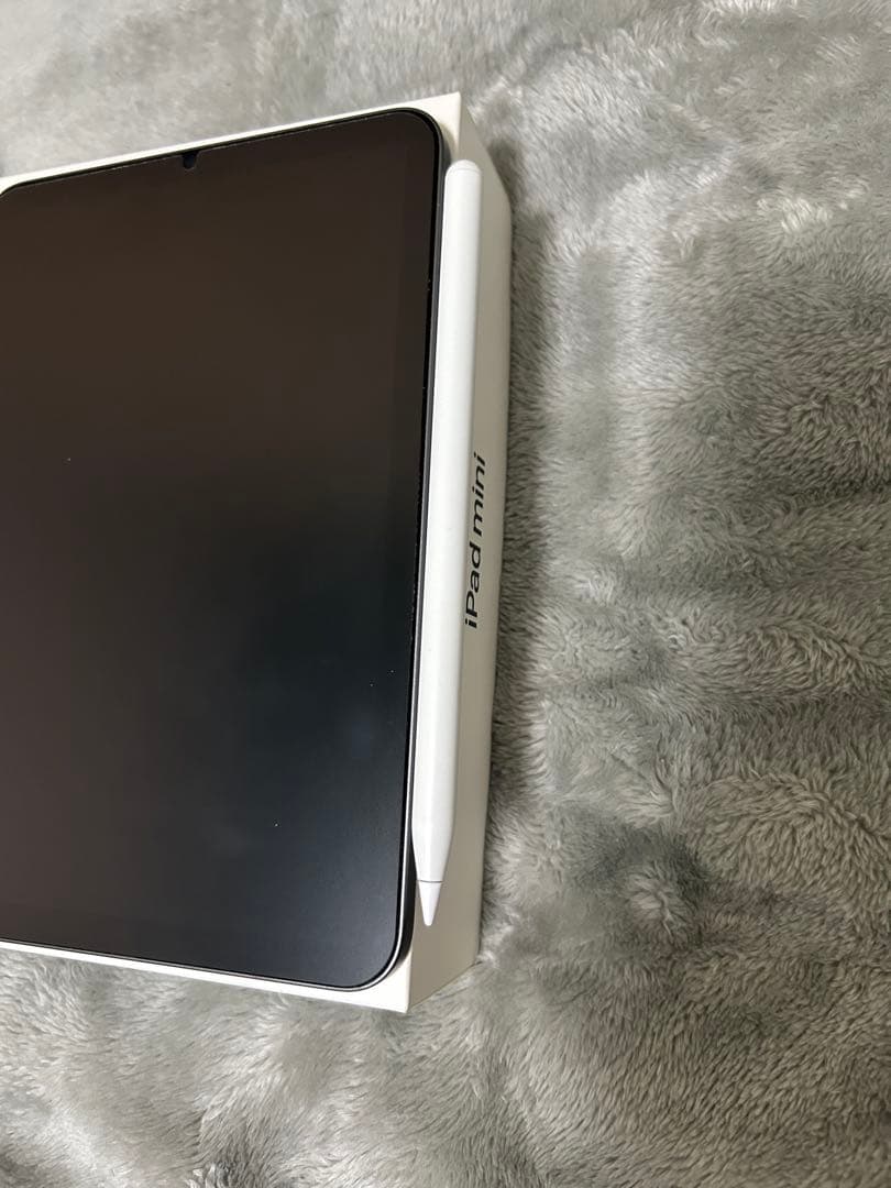 iPad mini(第6世代)256GB Wi-Fiモデル　スペースグレイ