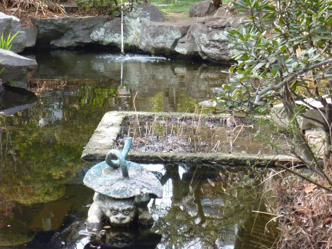 実写良⭕️【動作確認済】LUMIX Panasonic DMC-FX70