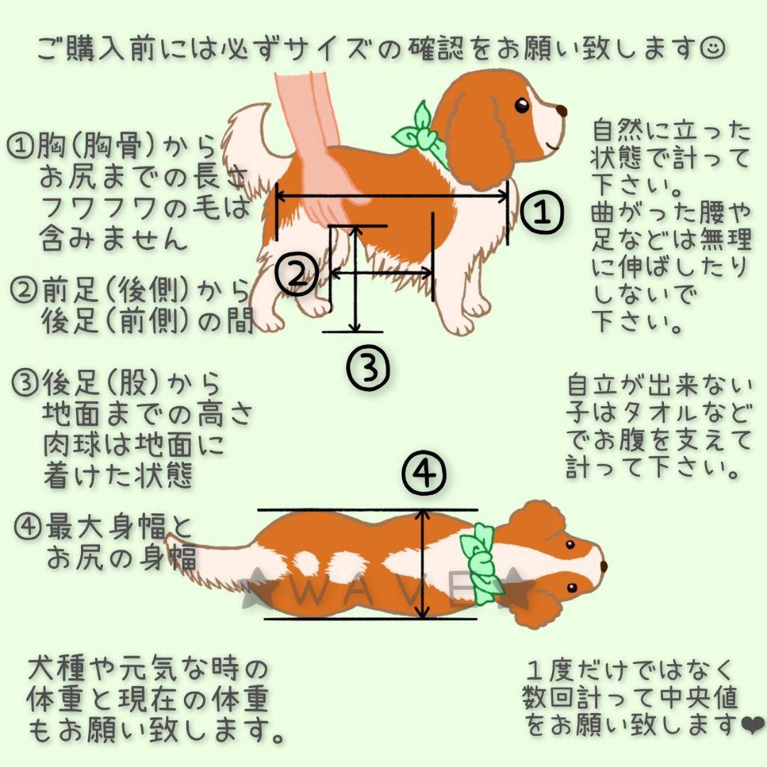 じろーさん　犬用車椅子　犬の歩行器　歩行補助　ハーネス　犬の車いす