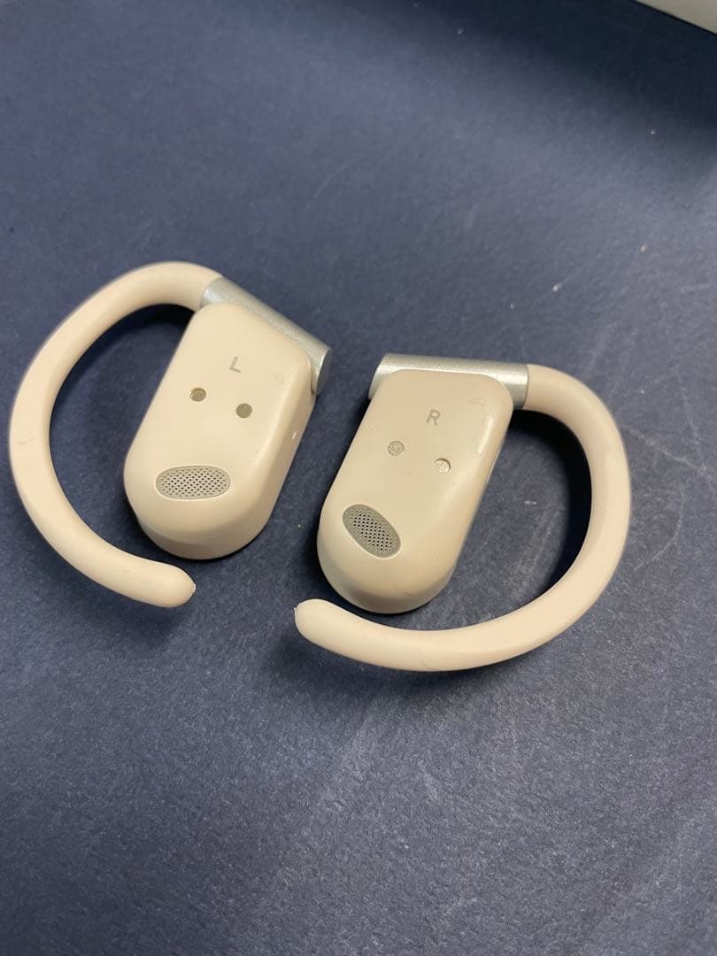 Translator Earbuds 多言語通訳M9+PLUSオフライン