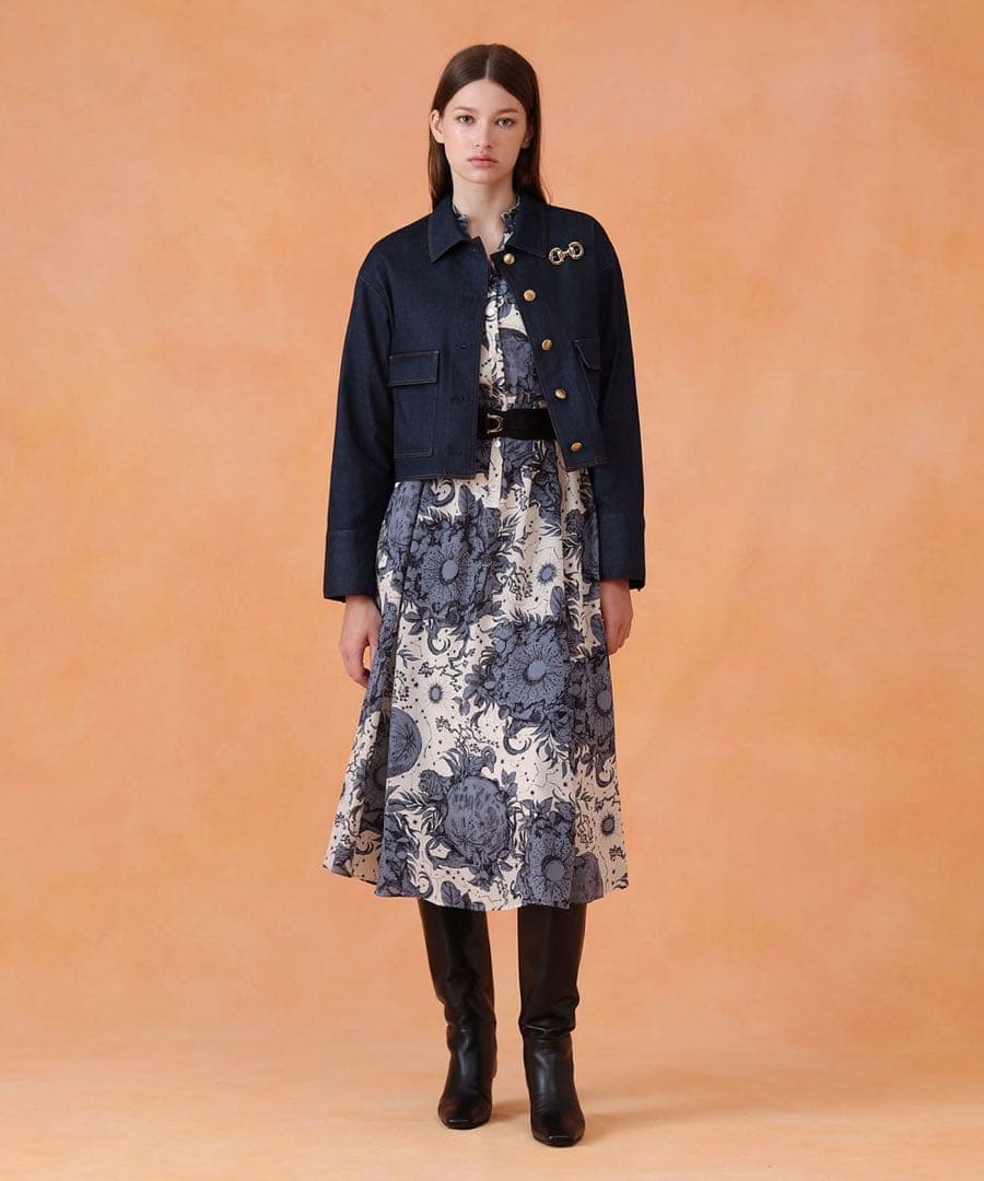 【新品未使用】ANAYI ホースビットビジューブローチ　完売　アナイ