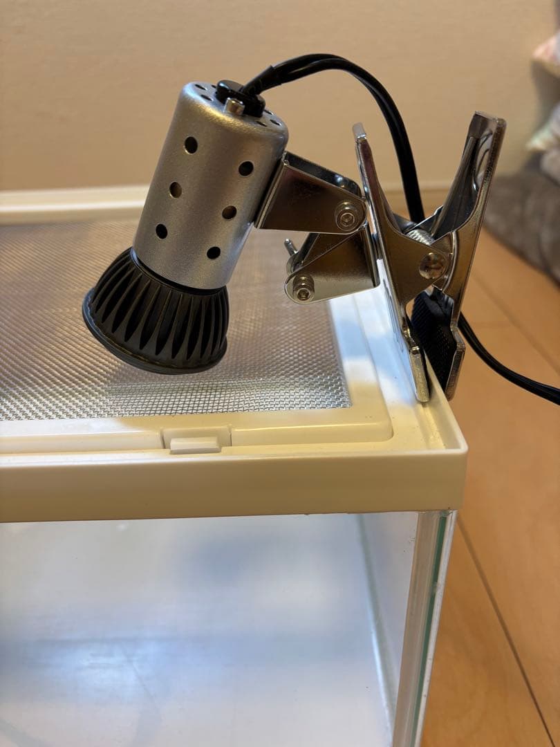 爬虫類、両生類飼育ケース