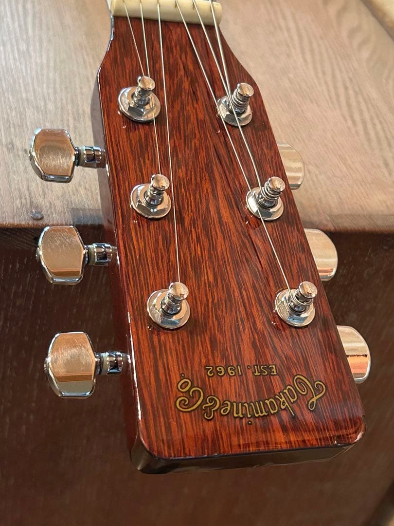 タカミネTD-27(豆しばバージョン)