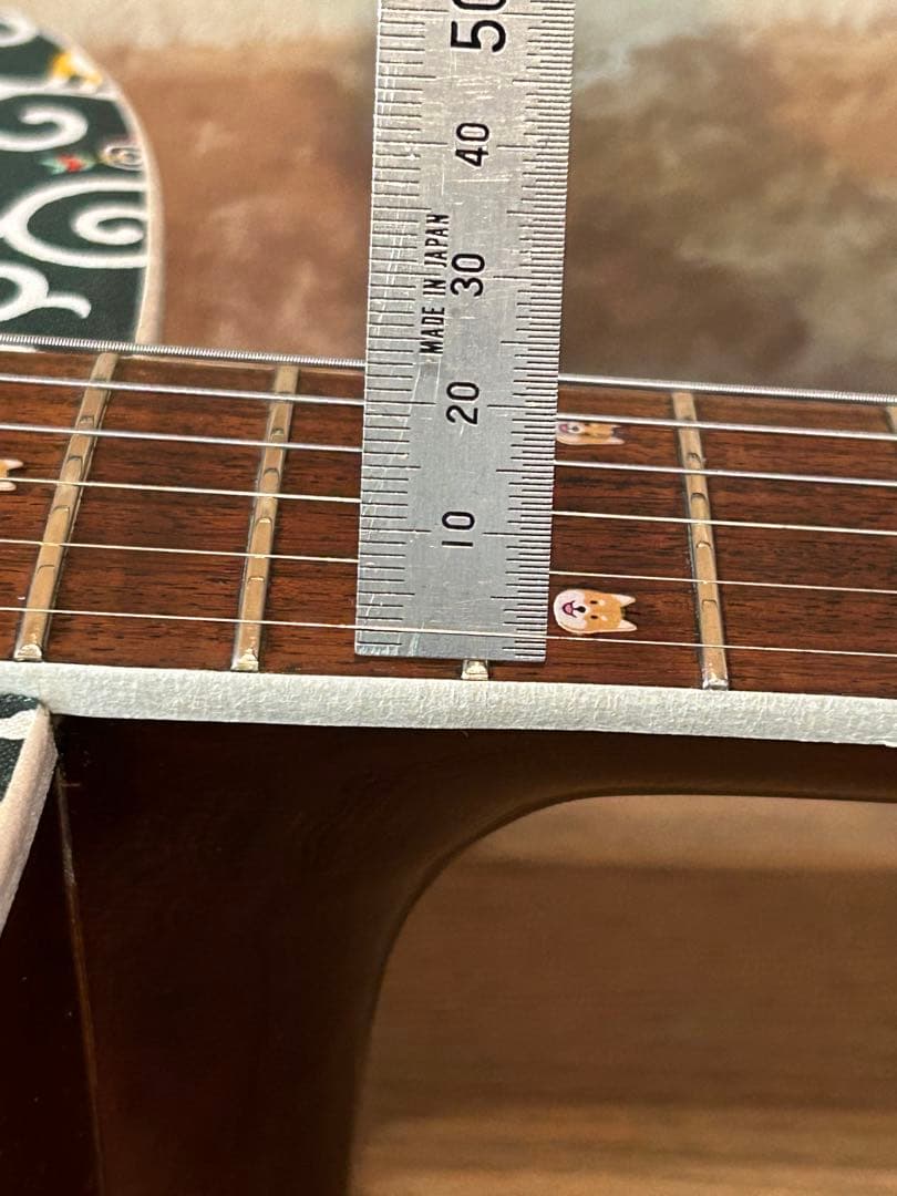 タカミネTD-27(豆しばバージョン)