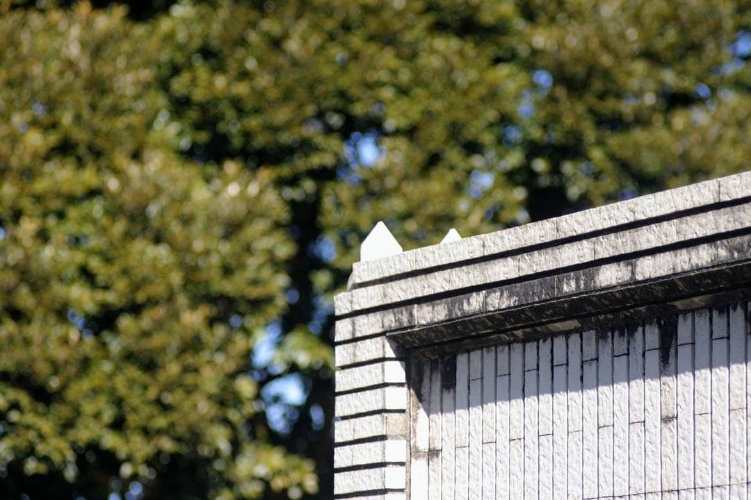 【超銘玉】PENTACON electric 2.8/100 M42(作例追加)