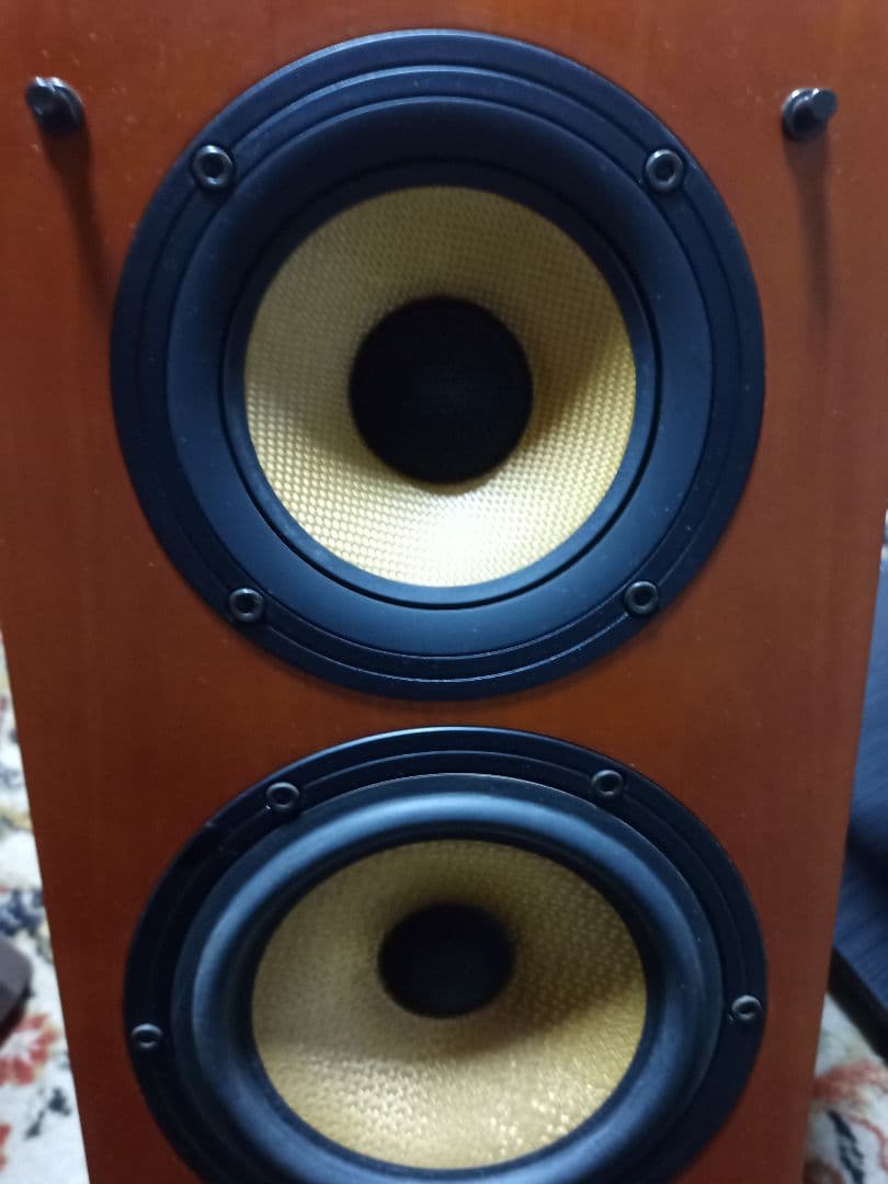 スタジオモニタースピーカー 木目調 2ウェイ　　パイオニア　S-A4-LR