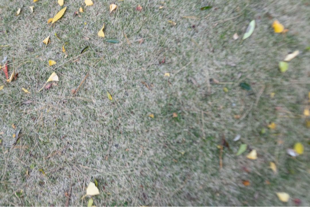 ジャンク　Canon RF35mm F1.8 MACRO IS STM