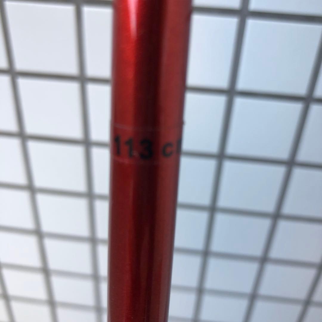 LEKI カーボンストック TECH 110 113cm