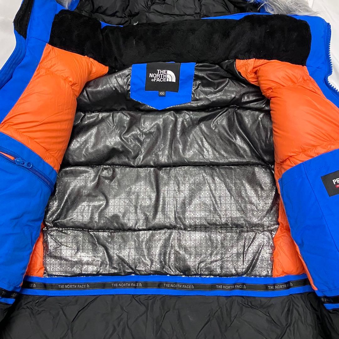 THE NORTH FACE 100 L ダウン マウンテンパーカー