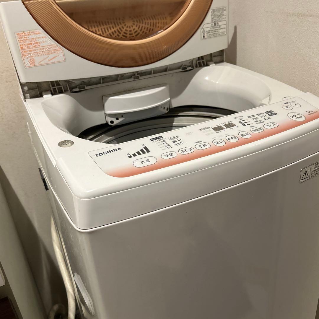洗濯機 TOSHIBA 8kg ピンク 乾燥機能付き 槽洗浄