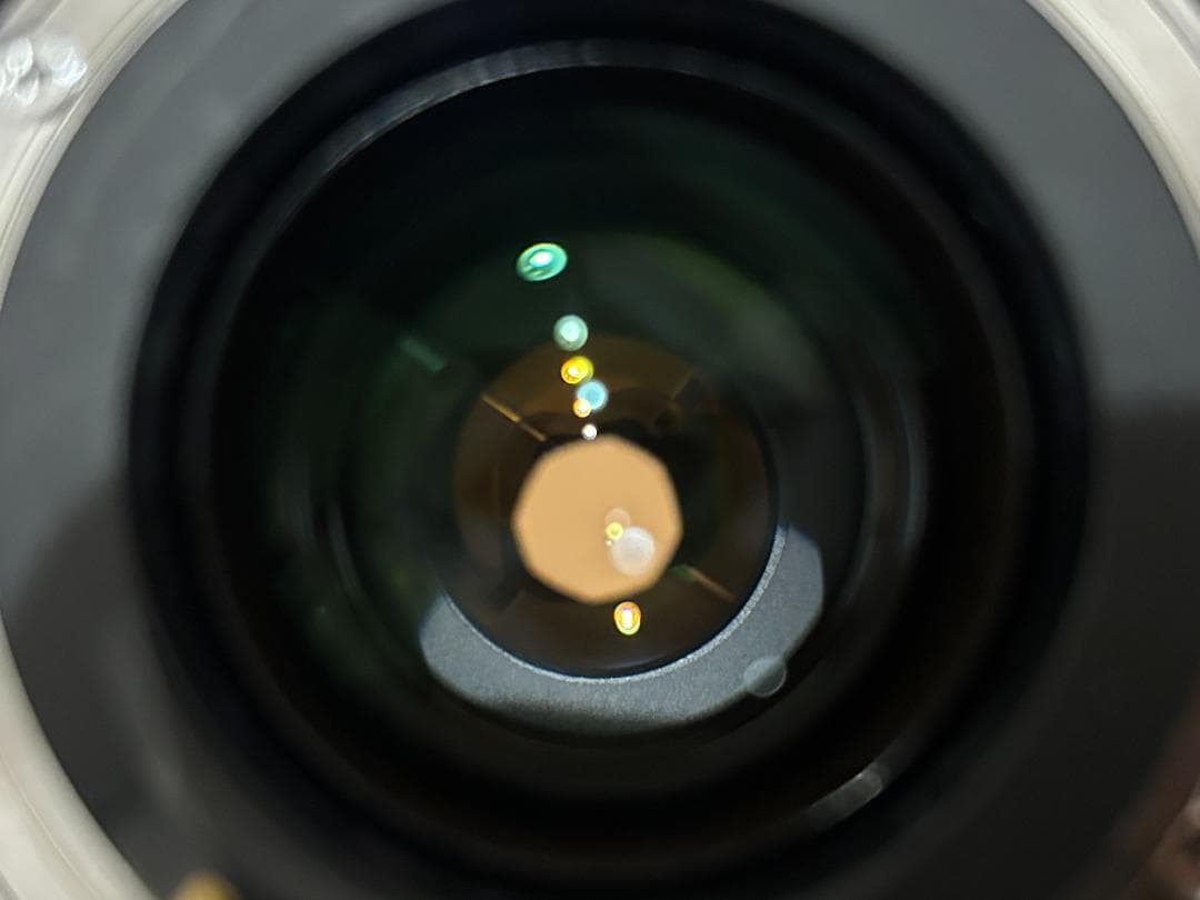 ジャンク館】キャノン EF 28-300mm F3.5-5.6 L IS USM