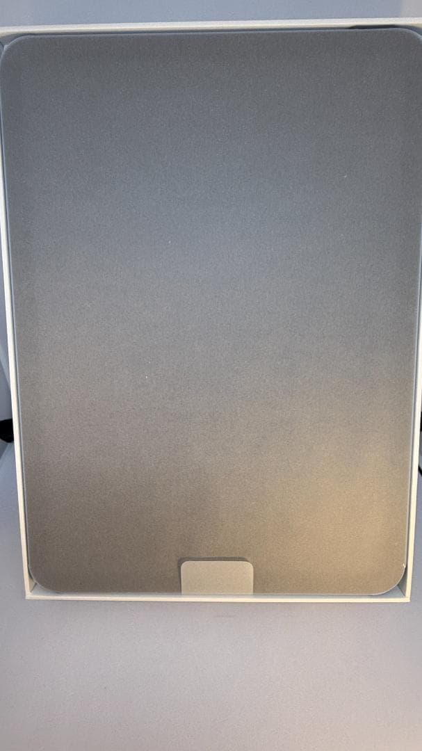 第10 iPad Wi-Fi 256GB ブルー ANA刻印 SFC