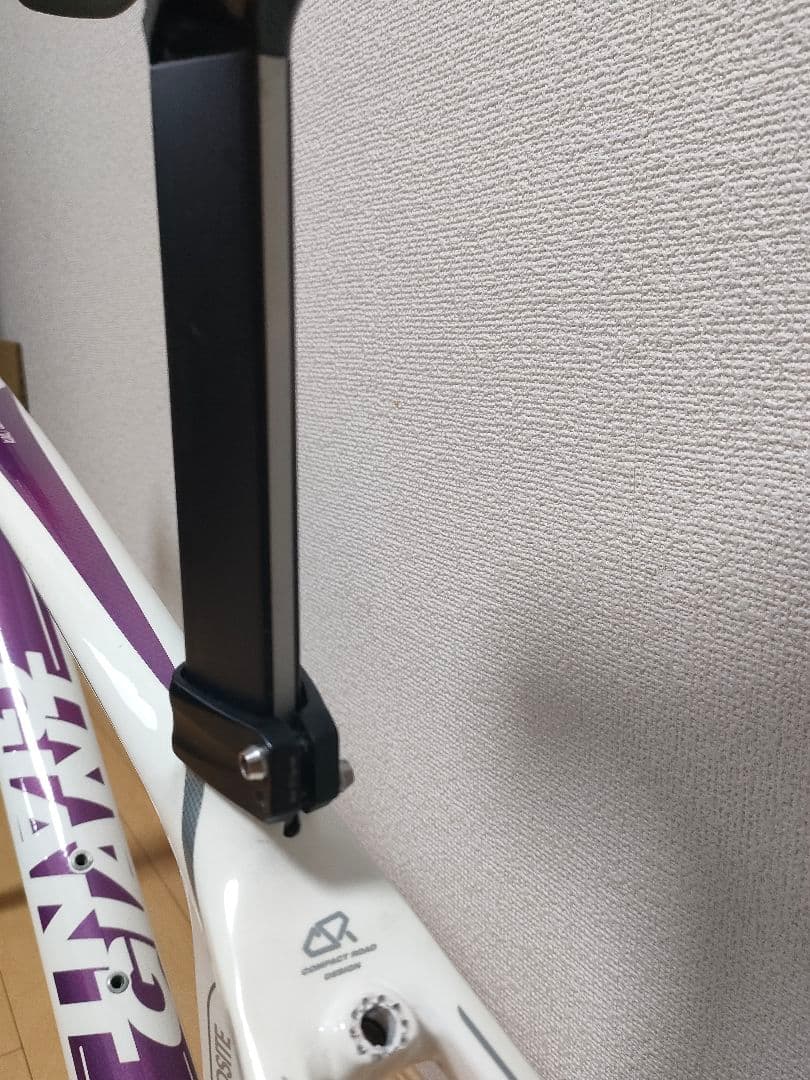 GIANT Liv フルカーボン ロードバイク フレーム xxs 女性/キッズ