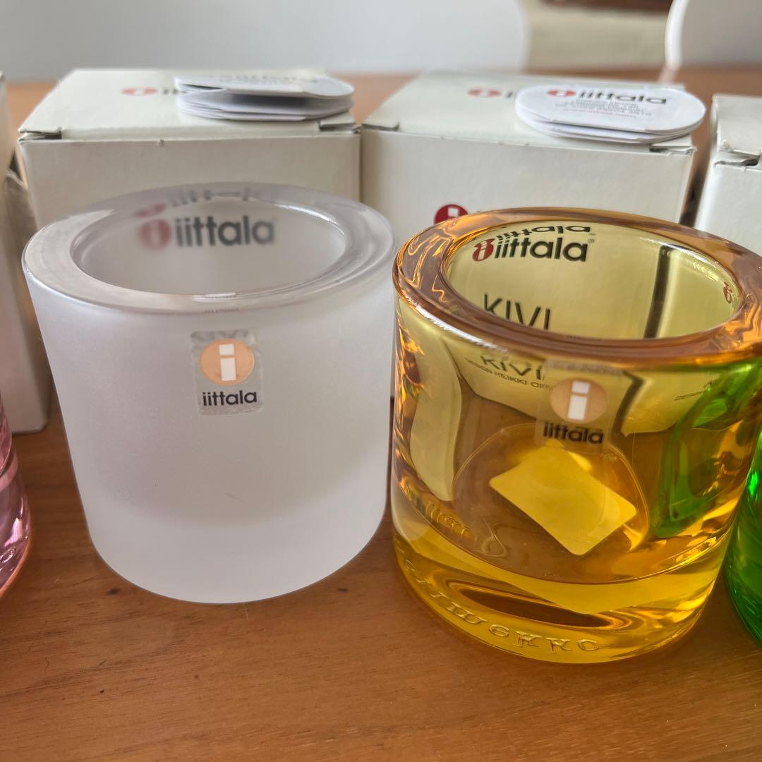  Kivi 8個セット
