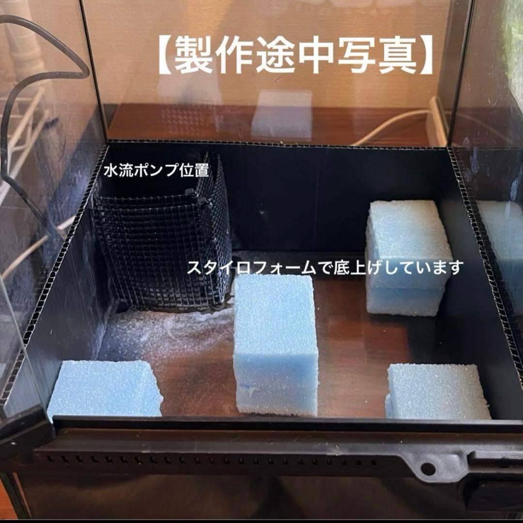 【最終値下げ】レイアウト水槽 イモリウム カエルリウム