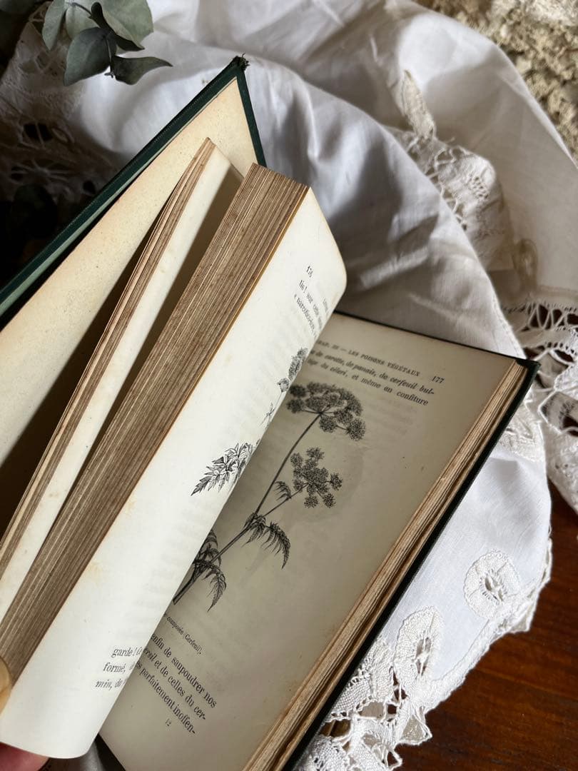 ◆フランスアンティーク｜激レア直筆サイン古書植物草花挿絵19s金彩エンボスハード