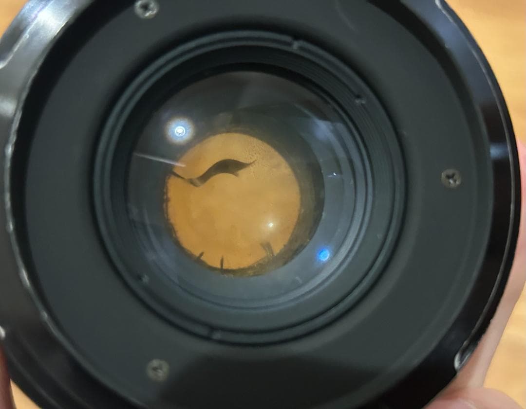 レア品 マミヤ Mamiya Fisheye ULD 24mm f/4