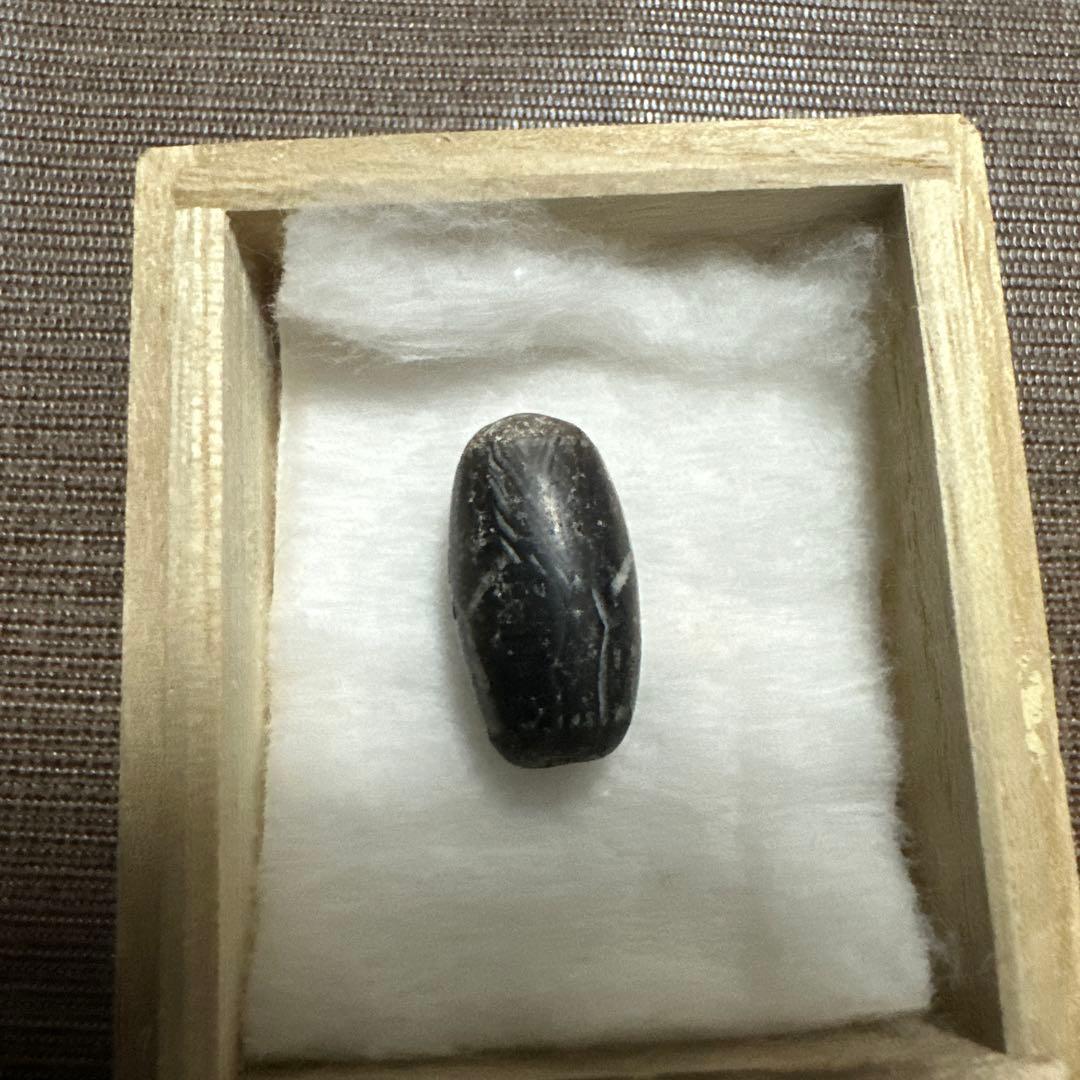 紅朱砂亀甲黒