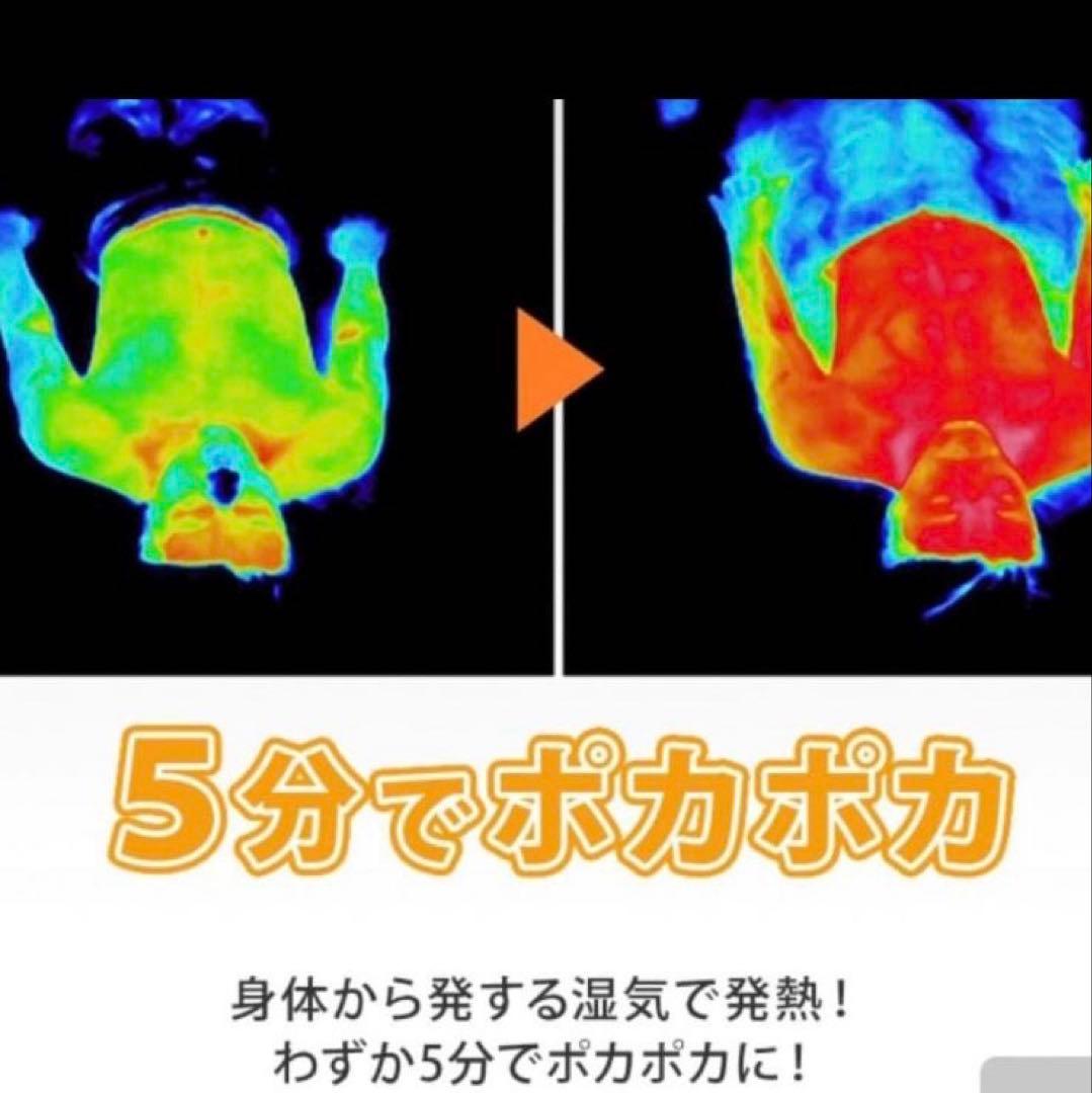 ★新品未使用★ひな暖（毛布＋敷きパッドセット） マロンブラウン　ダブル(D)