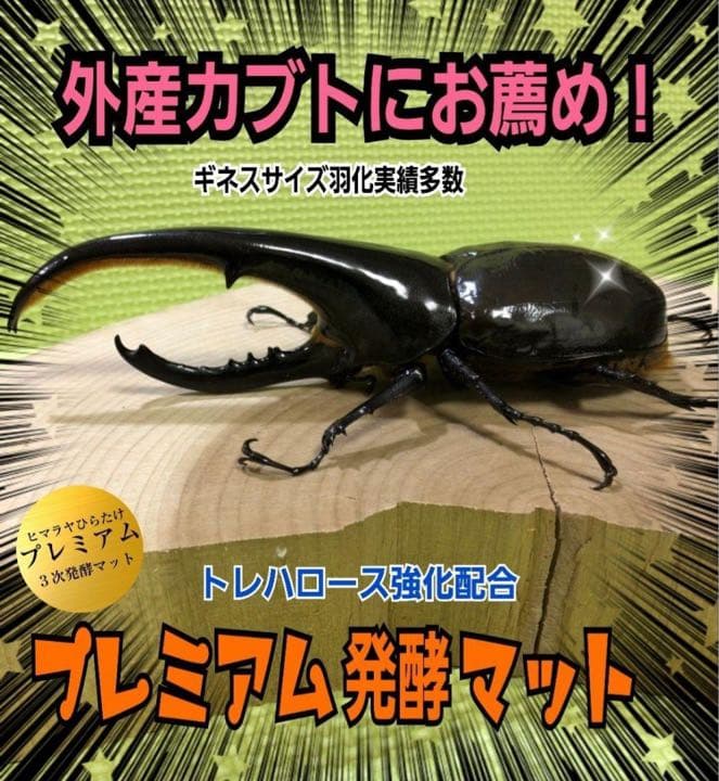 ギネスサイズ実績！特選プレミアム3次発酵カブトムシマット【5袋】特殊アミノ酸配合
