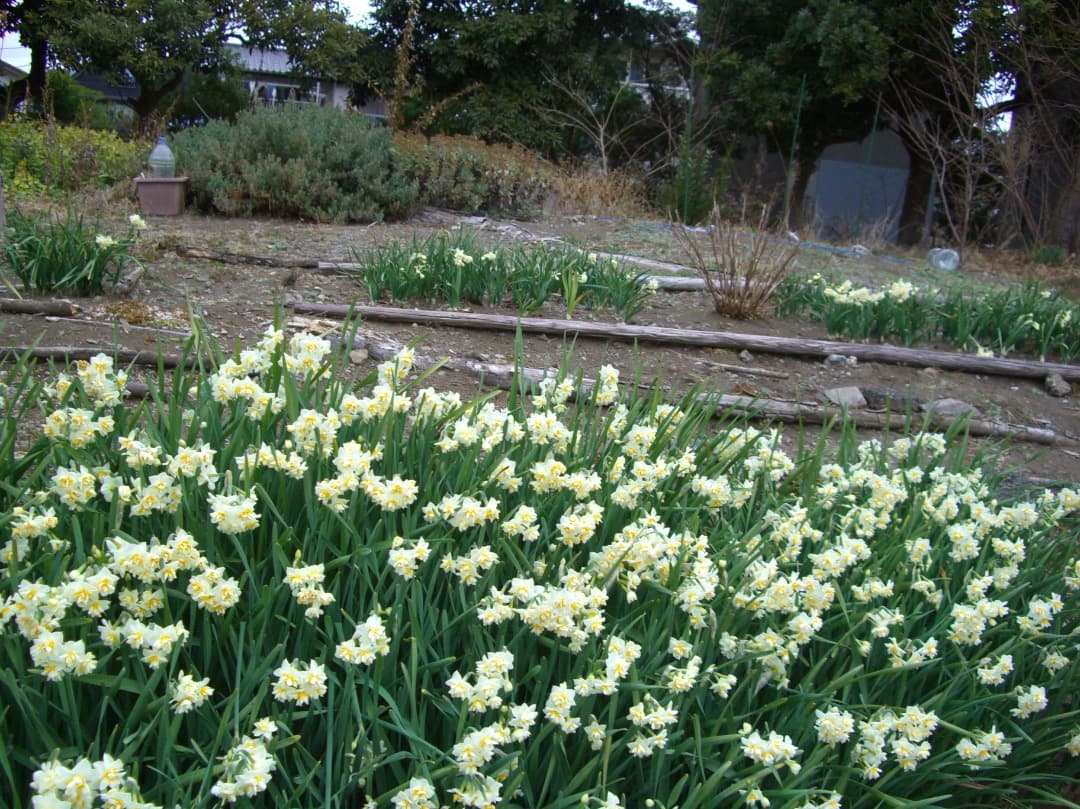 追加あり⭕️美品【動作確認済】CASIO EXILIM ZOOM EX-Z1000