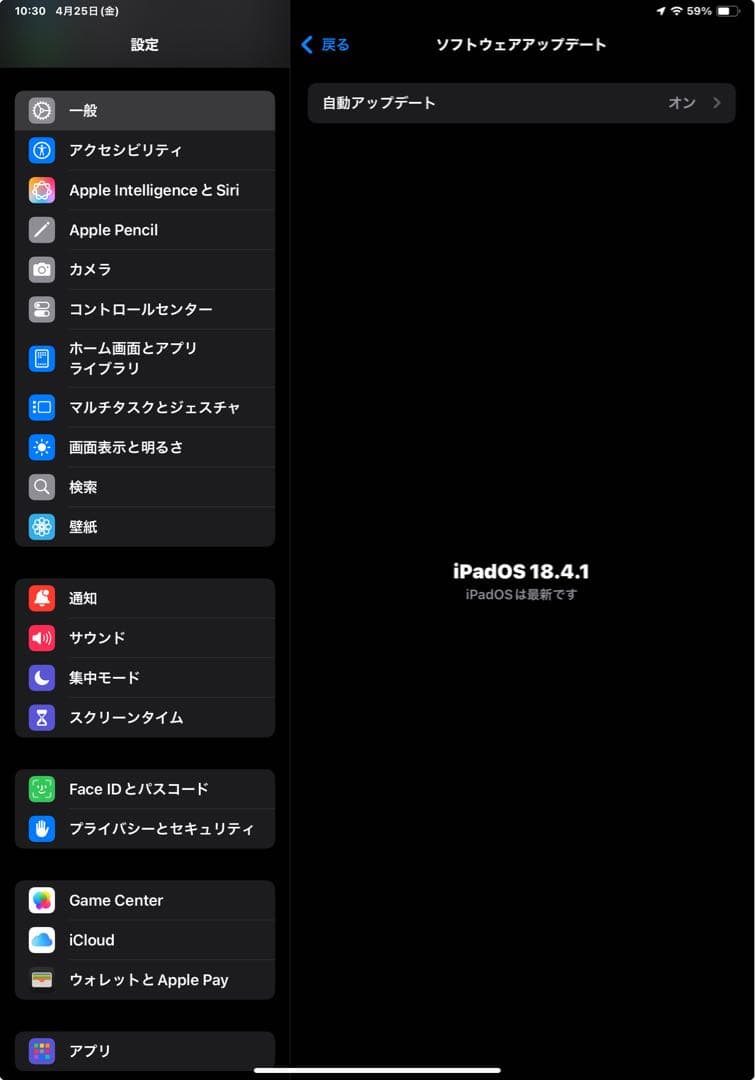 ★美品★Apple iPad Pro 11 第3世代 スペースグレー WiFi