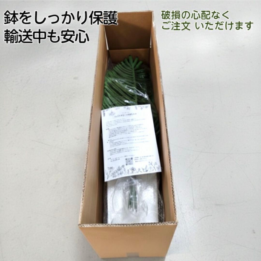 大型 フェイクグリーン ヤシの木 150cm 白鉢付 インテリア 観葉植物