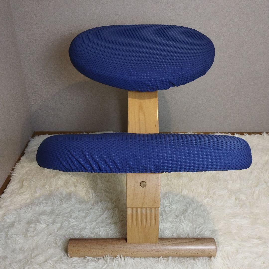 【極美品】balans Easy バランスチェア イージー カバー付