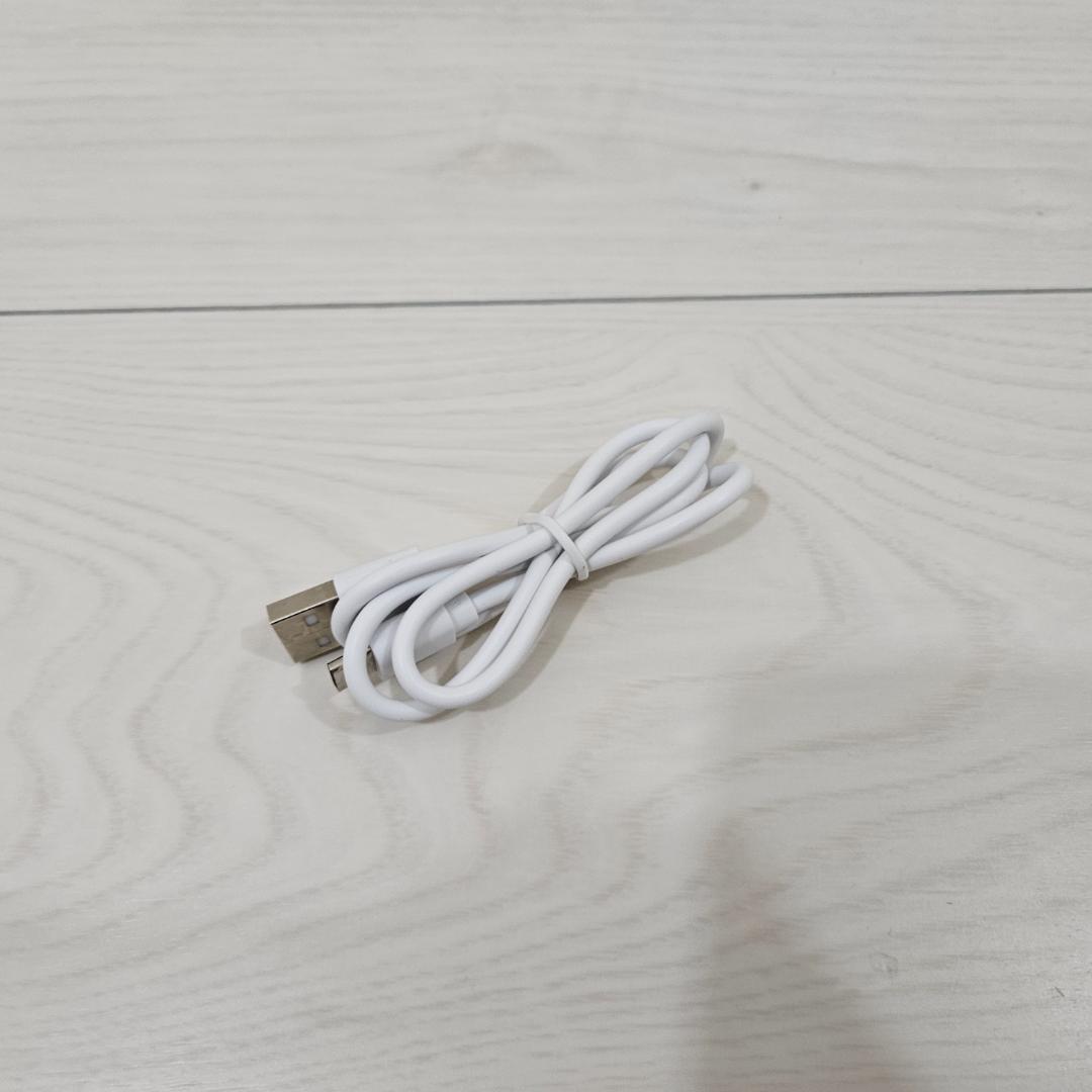 パッティスト2 PUTTIST II パター 練習器具