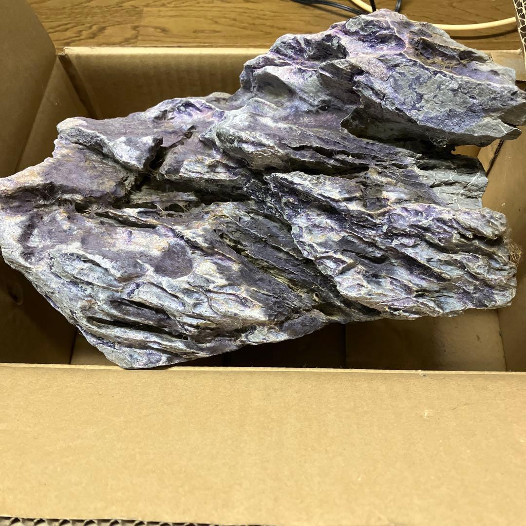 アクアリウム　アクアデザインアマノ