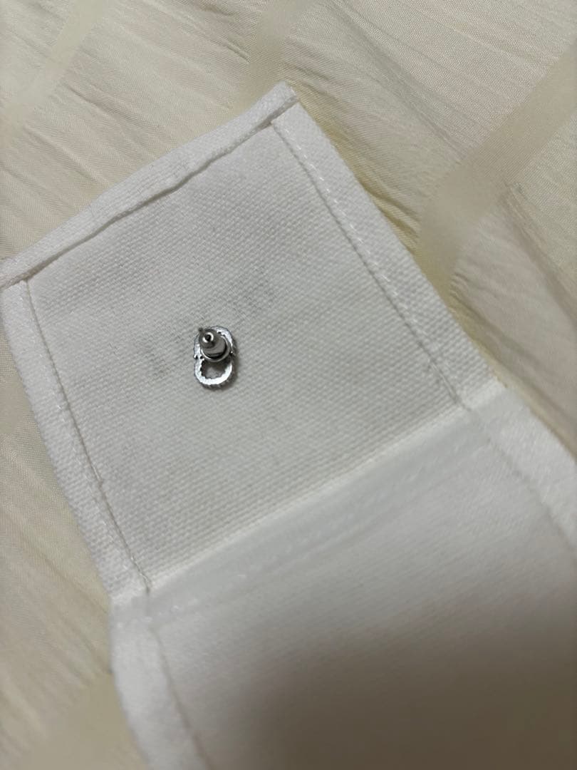 Diorピアス