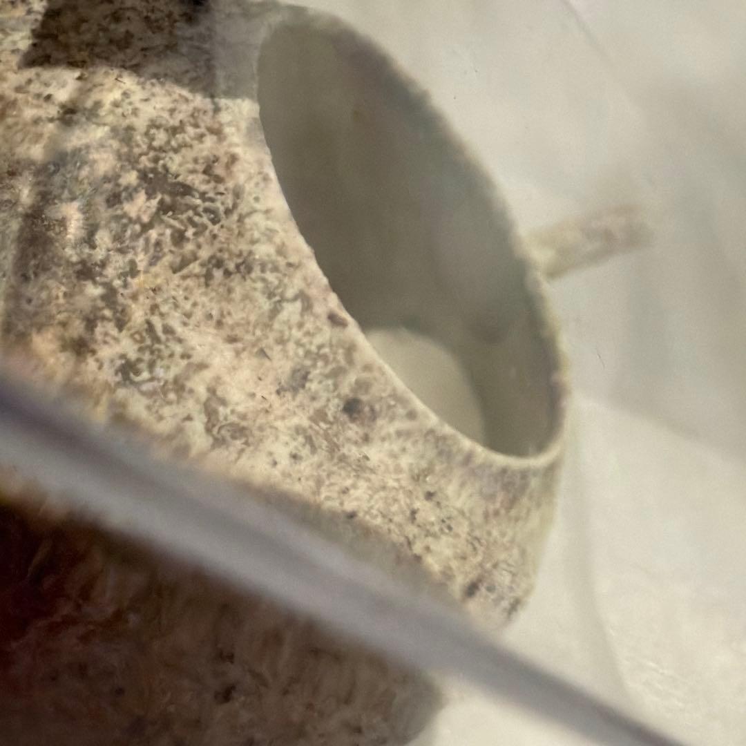 専用ケース付　作家もの　月面の様な陶磁器の茶道具　酒器　蓋の無い注器