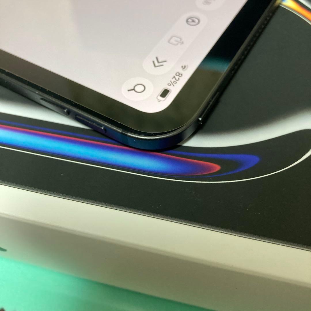 M4 iPad Pro 13インチ wifi 256GB +おまけケース