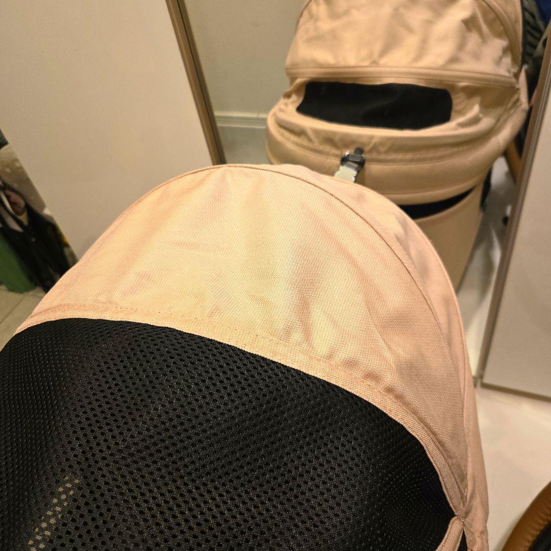 エアバギー ドーム3 ラージ build 別売メッシュルーフ付き オーダー