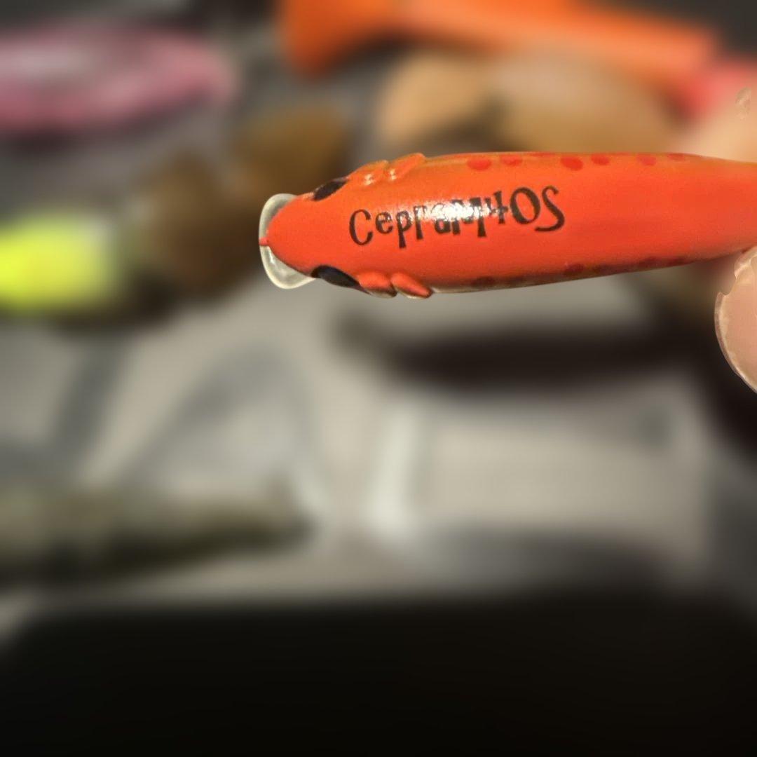 エリアトラウトルアーセット